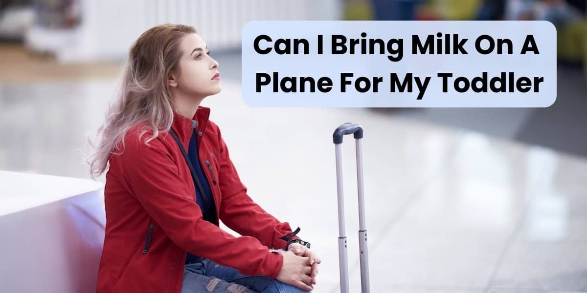 Can I Bring Milk On A Plane For My Toddler