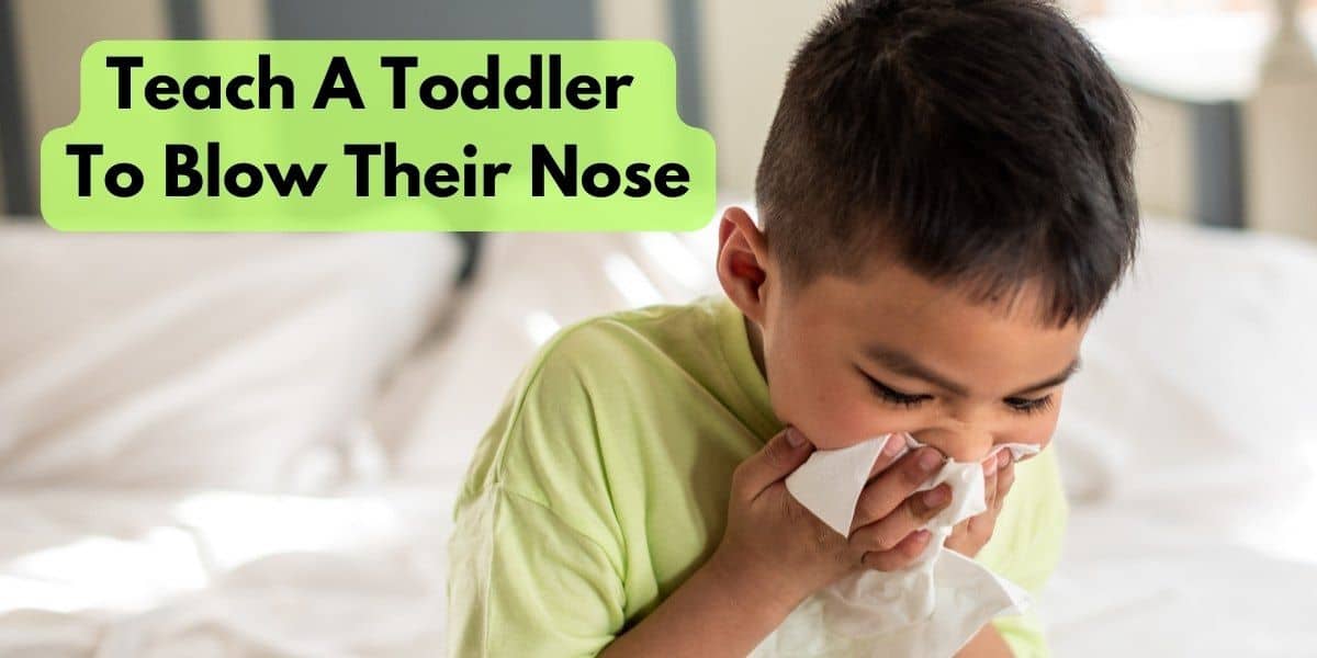 How To Teach A Toddler To Blow Their Nose?
