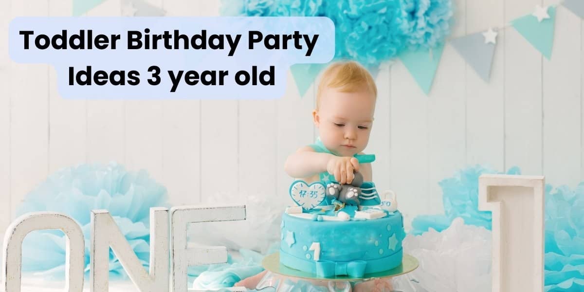 What Toddler Birthday Party Ideas 3 year old