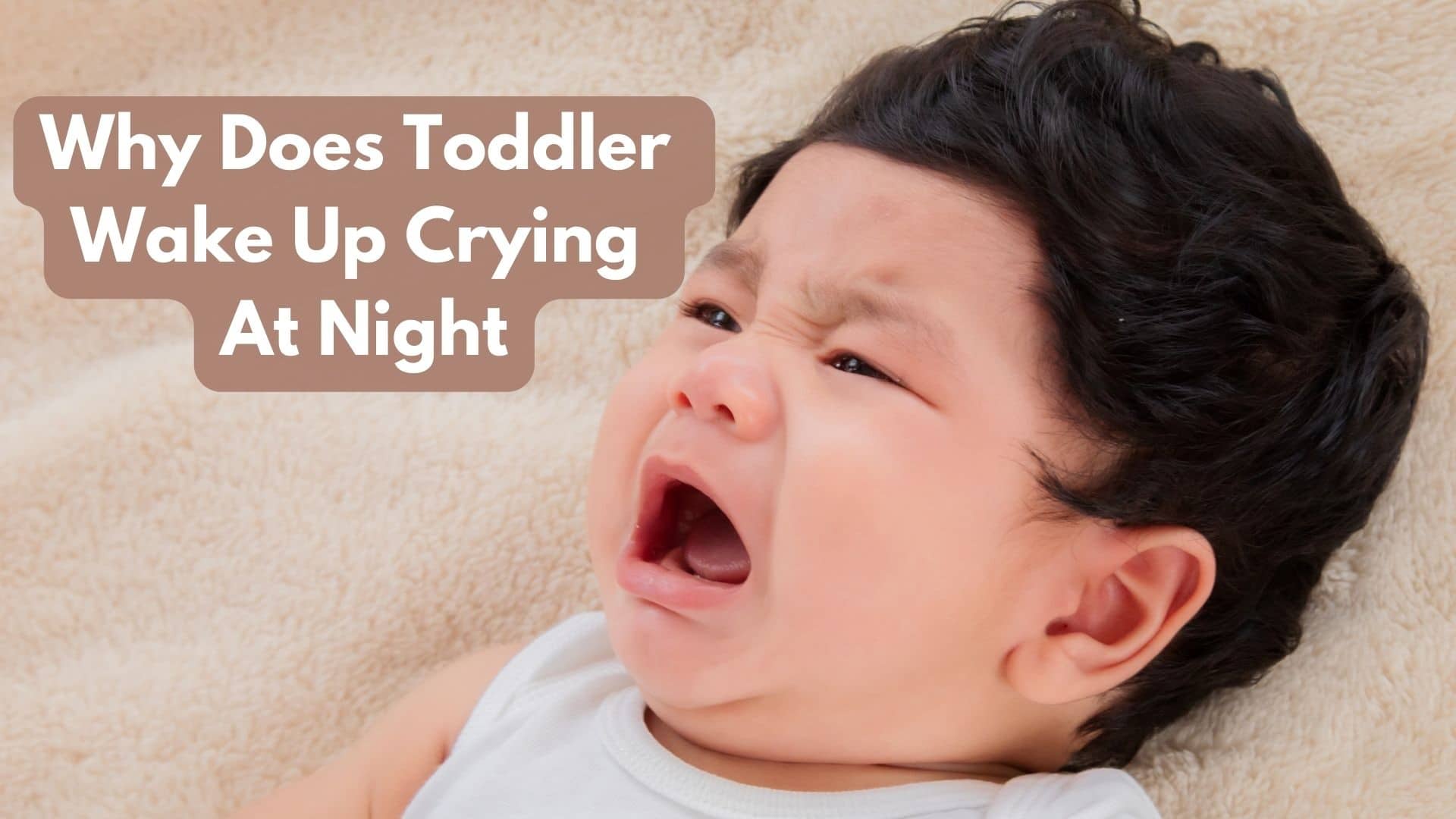 Why Does My Toddler Wake Up Crying At Night