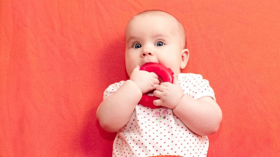 What Are Some Popular Teething Toys For Infants?